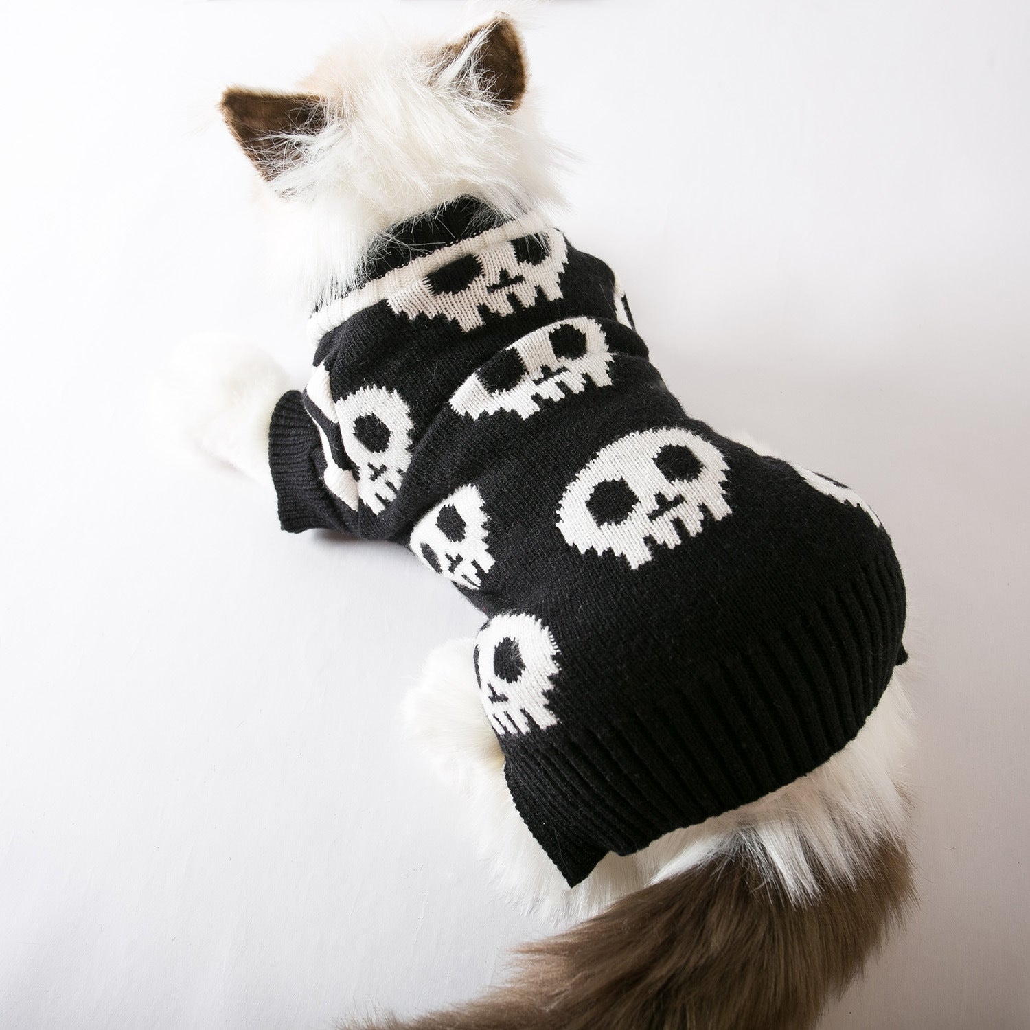 Cat Halloween Skull Sweater | Soft Knit Costume for Cats